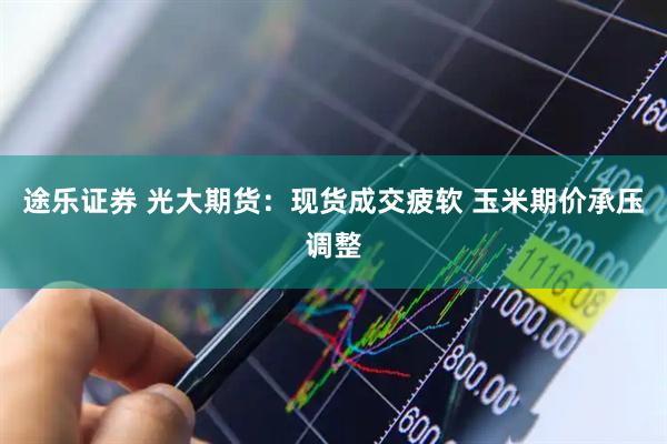 途乐证券 光大期货：现货成交疲软 玉米期价承压调整