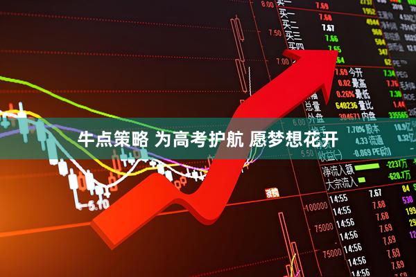牛点策略 为高考护航 愿梦想花开