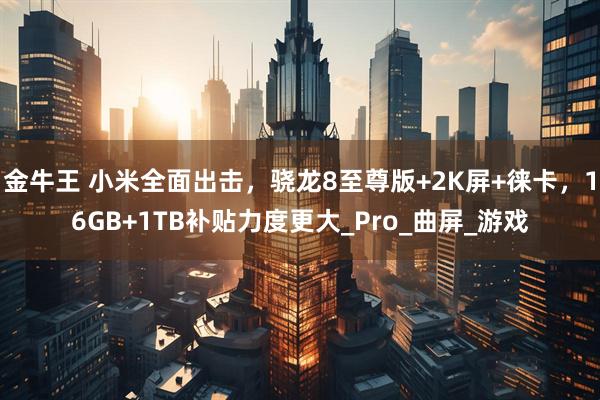 金牛王 小米全面出击，骁龙8至尊版+2K屏+徕卡，16GB+1TB补贴力度更大_Pro_曲屏_游戏