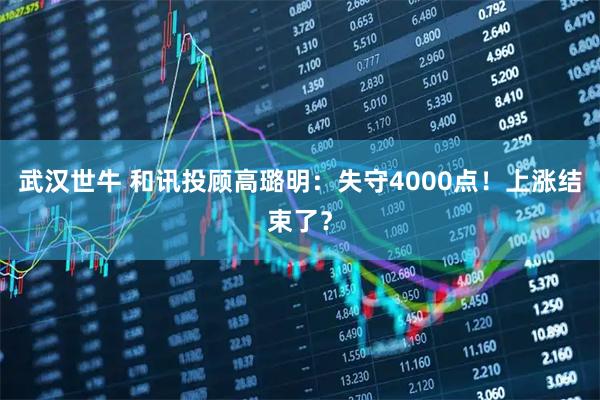 武汉世牛 和讯投顾高璐明：失守4000点！上涨结束了？